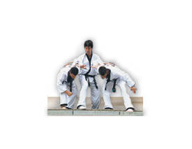 Hapkido