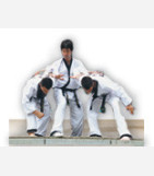 Hapkido